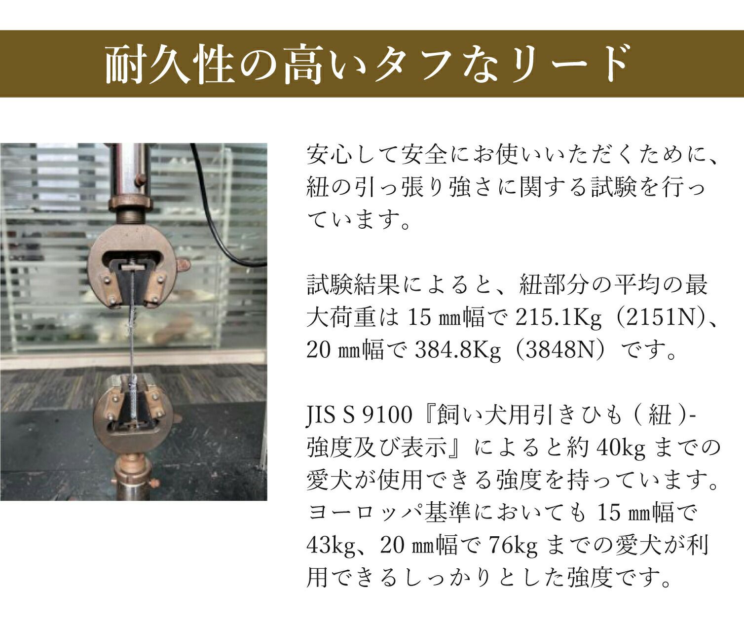 耐久性の高いタフなリード