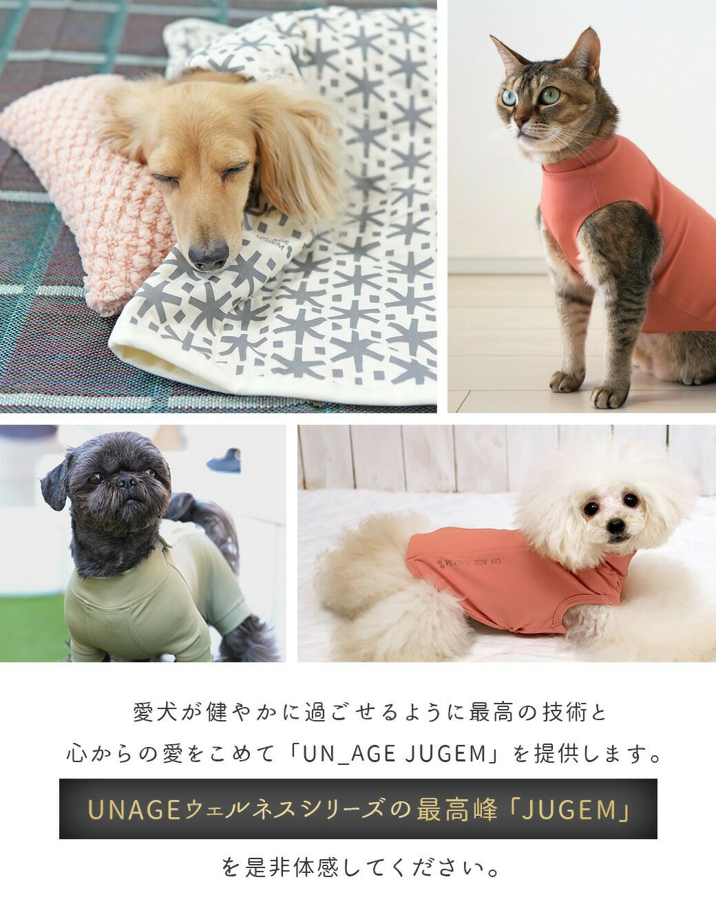 トータルリカバリー