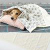 プリント部分には6つの成分が練りこんであります