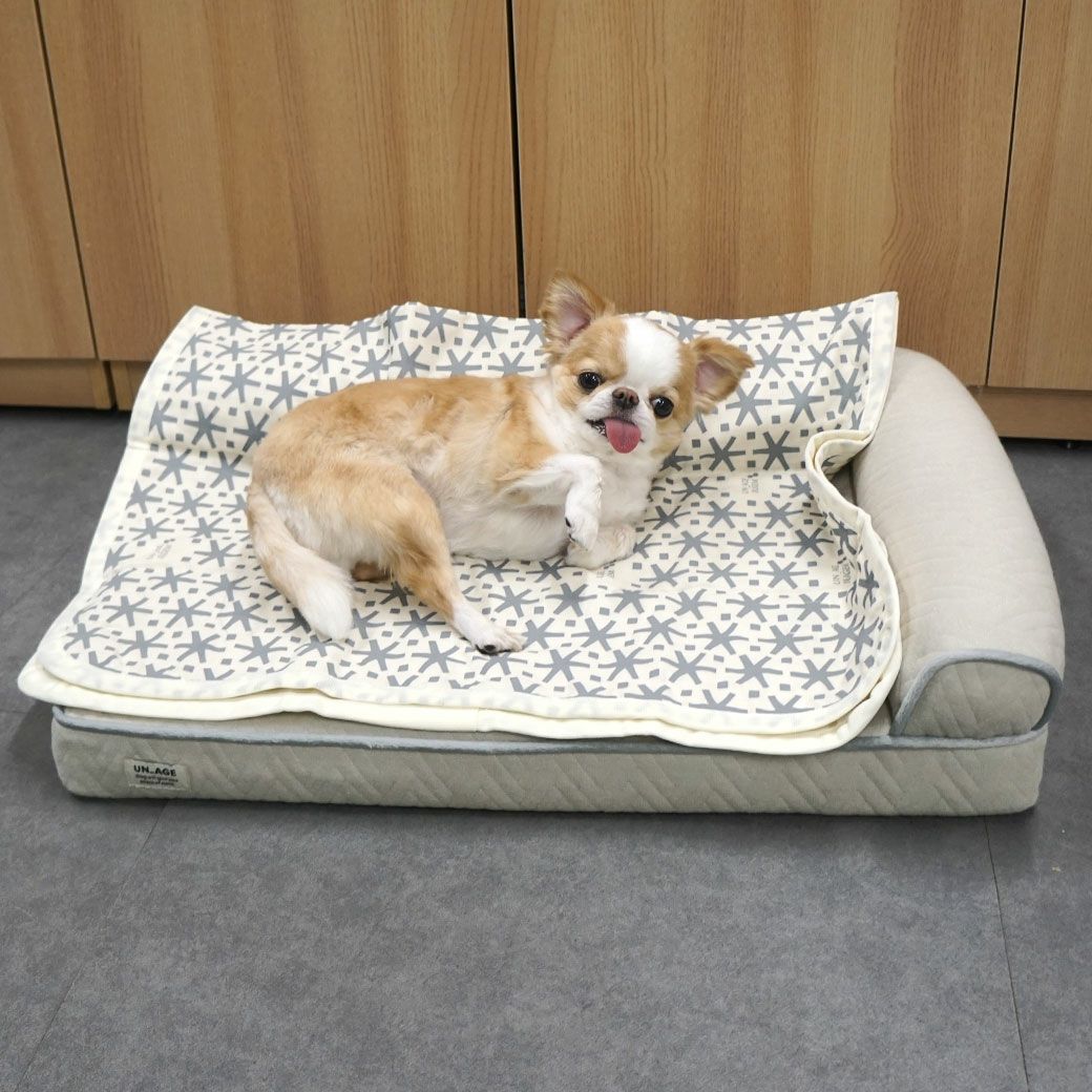 チワワ2.4kgのこつぶが使用