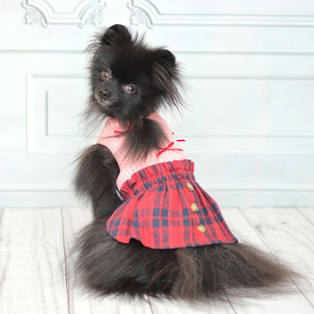 ポメラニアン2.4kg(首19/胴30/丈26cm)のはちみつちゃんはピンクのSを着用