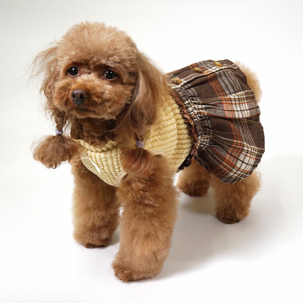 プードル2.5kg(首19/胴31/丈26cm)のグミちゃんはイエローのMを着用