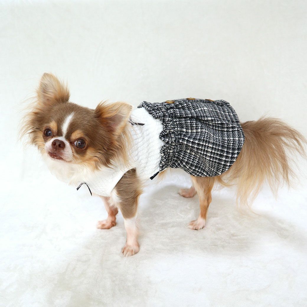 チワワ2.1kg(首19.5/胴30.5/丈22cm)の玉青ちゃんはホワイトのSを着用