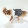 チワワ2.1kg(首19.5/胴30.5/丈22cm)の玉青ちゃんはホワイトのSを着用