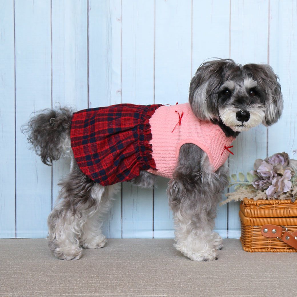 ミニチュアシュナウザー4.8kg(首22/胴39/丈29cm)のあろあちゃんはピンクのMを着用