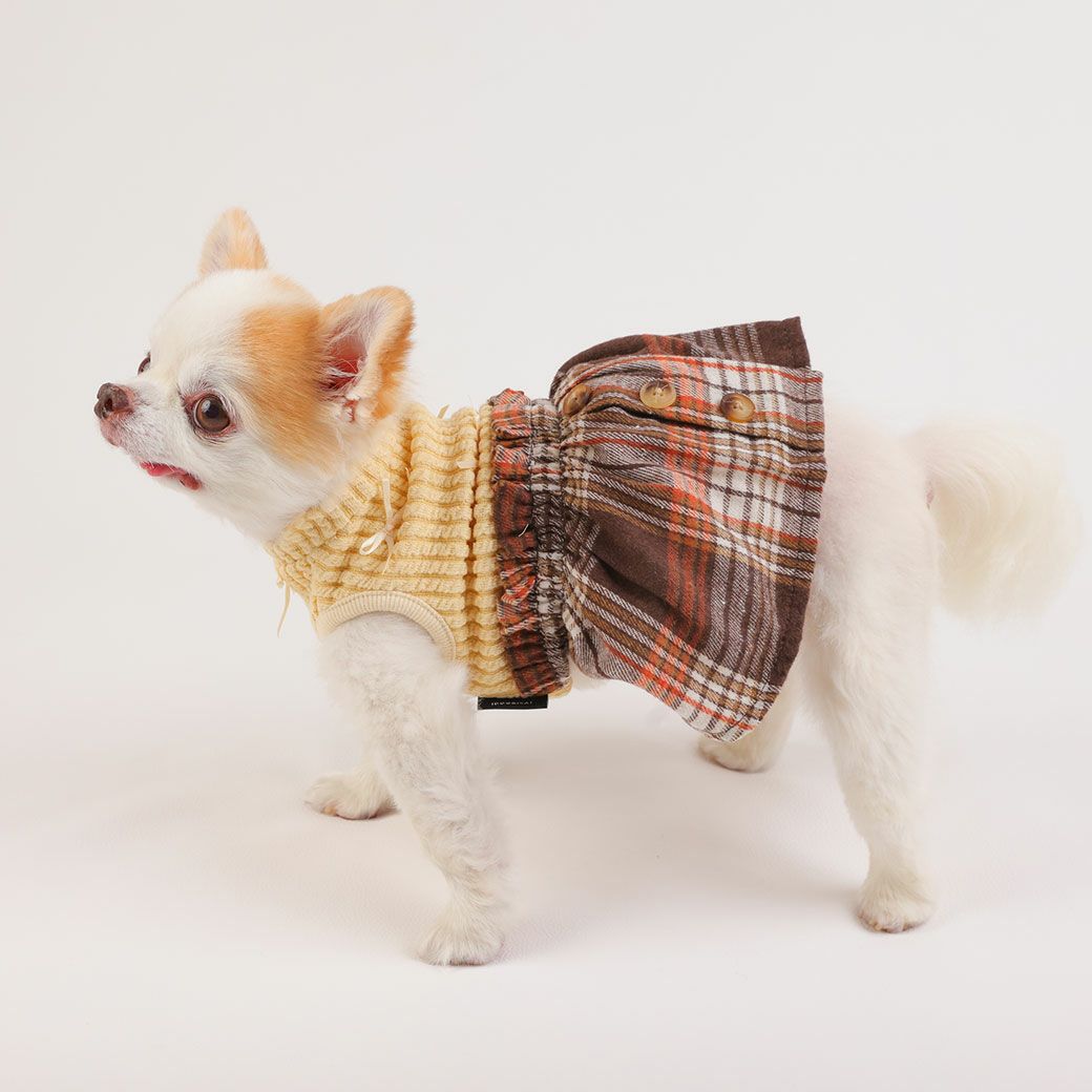 チワワ2.69kg(首21/胴34/丈25cm)の涼央くんはイエローのSを着用