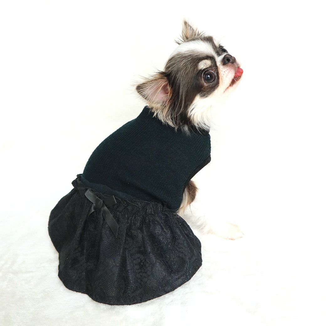 チワワ1.7kg(首18/胴27.5/丈18cm)の小真知ちゃんはブラックのSを着用