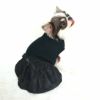 チワワ1.7kg(首18/胴27.5/丈18cm)の小真知ちゃんはブラックのSを着用