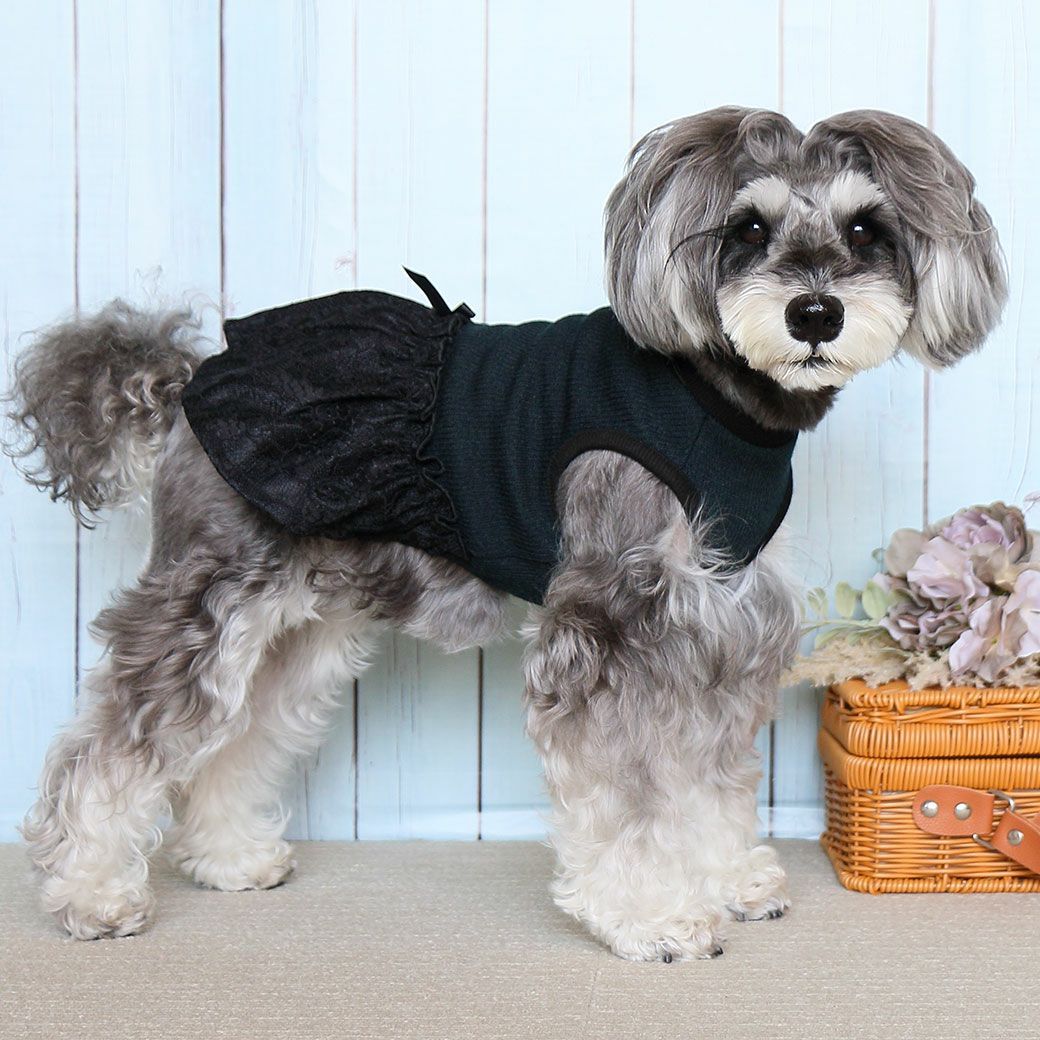ミニチュアシュナウザー4.8kg(首22/胴39/丈29cm)のあろあちゃんはブラックのMを着用