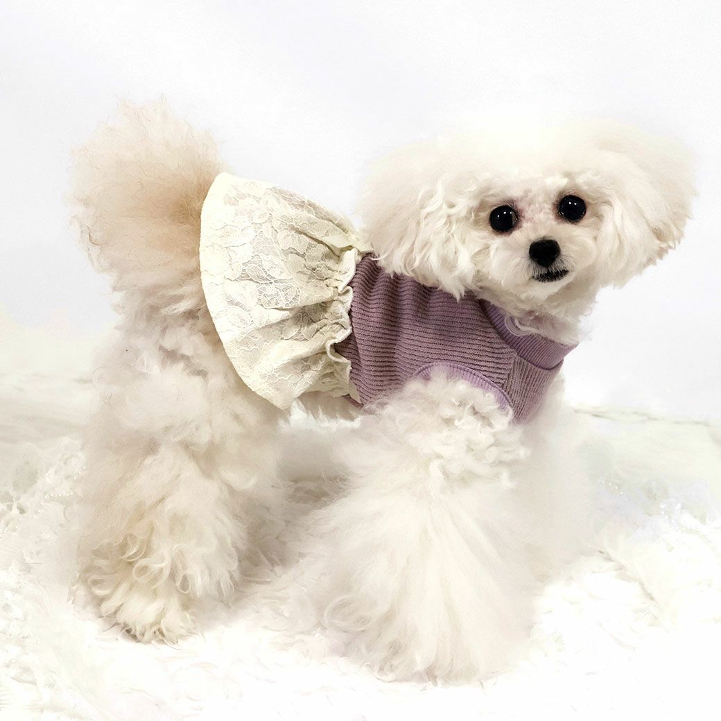 トイプー1.2kg(首15/胴26/丈19cm)のマユリちゃんはアッシュピンクXSを着用