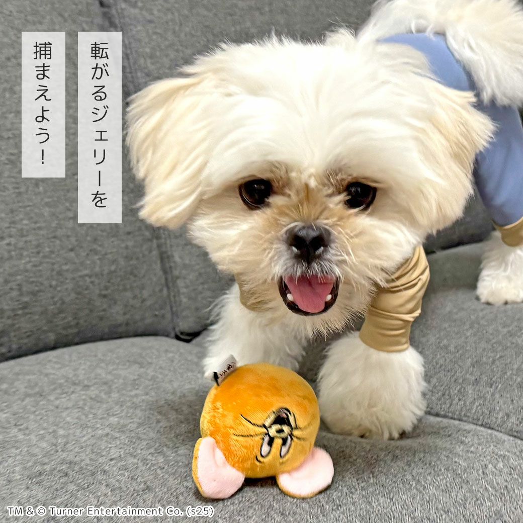 iDogTOMandJERRYコロコロジェリーボールアイドッグ