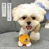 iDogTOMandJERRYコロコロジェリーボールアイドッグ