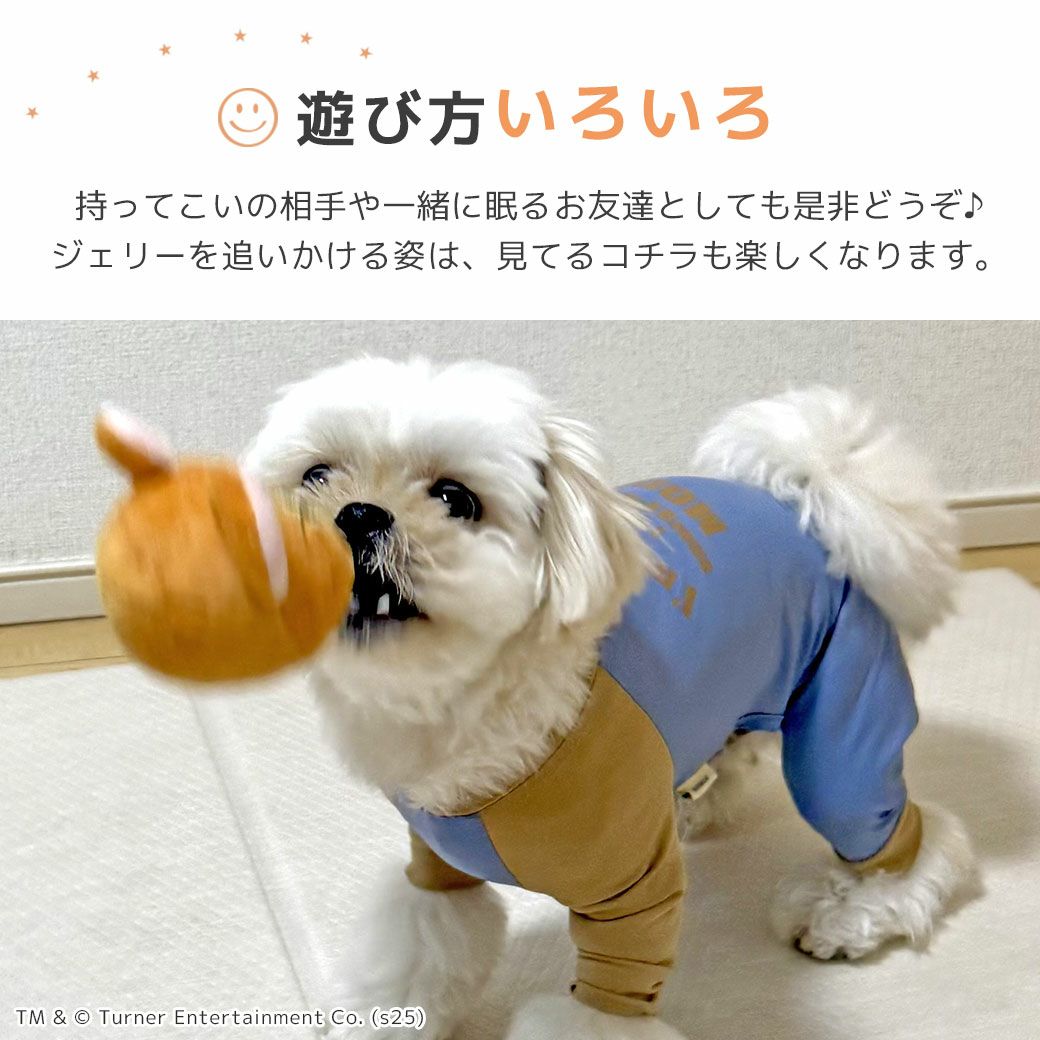 遊び方いろいろ