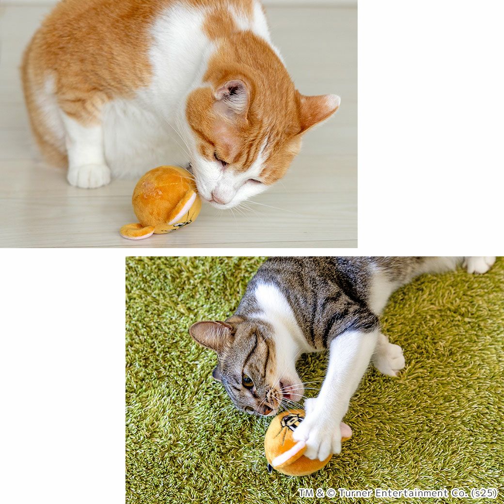 遊び方いろいろ