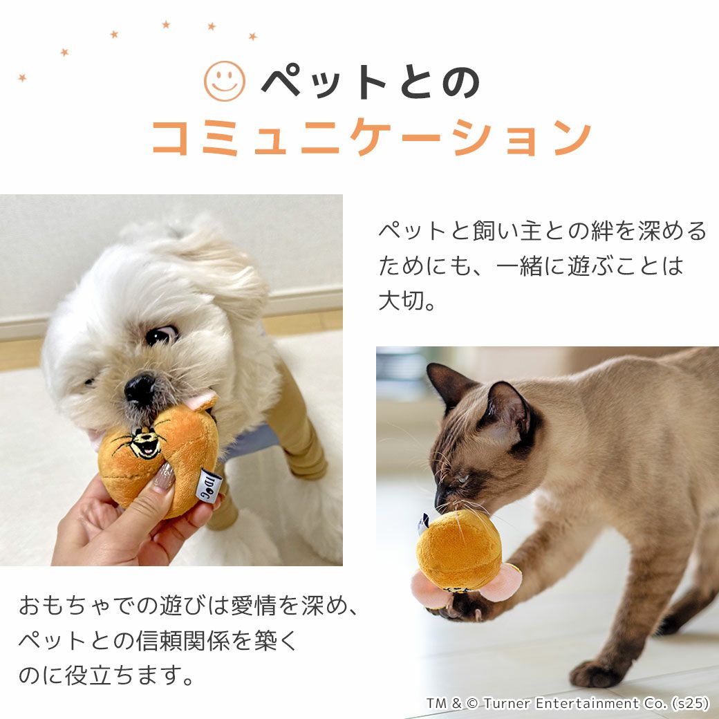 愛犬とのコミュニケーション