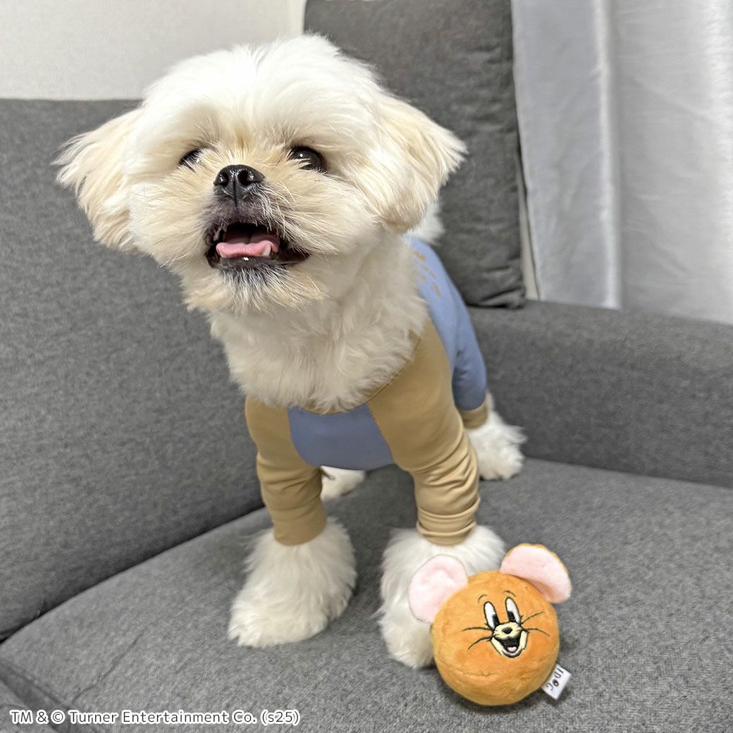 MIX4.2kg(首24/胴38/丈30cm)のとろろくんが遊んでくれました