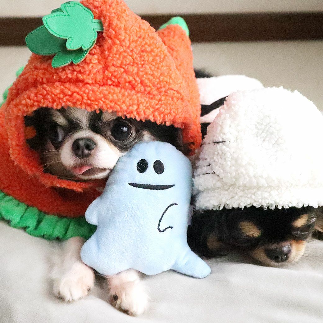 ハロウィン犬おもちゃ