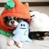 ハロウィン犬おもちゃ
