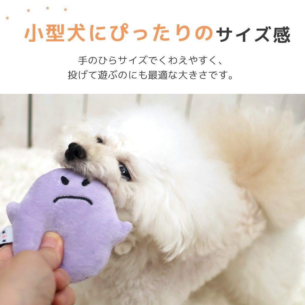 小型犬にぴったりのサイズ感