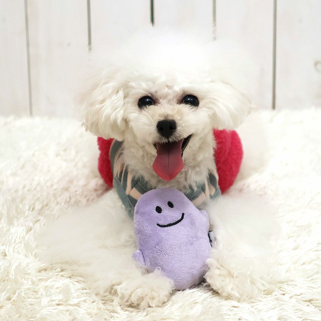 トイプー1.2kg(首15/胴26/丈19cm)のマユリちゃんはパープルで遊びました。