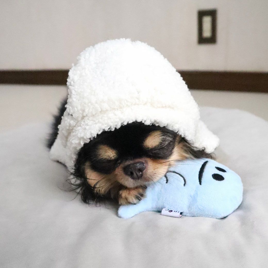 チワワ1.9kg(首19/胴29.5/丈21.5cm)のウメちゃんはあごのせ枕で愛用中