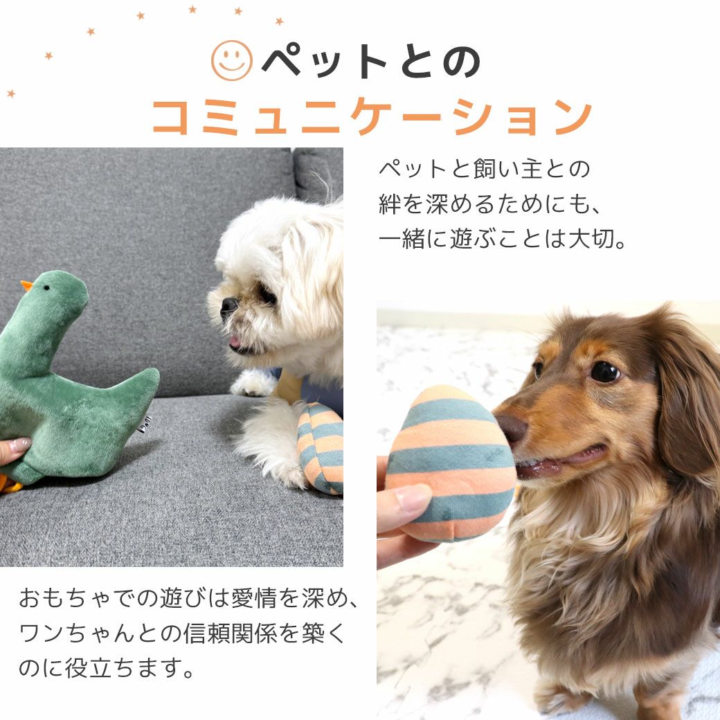 おもちゃ遊びでワンコとなかよくなろう