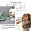 おもちゃ遊びでワンコとなかよくなろう