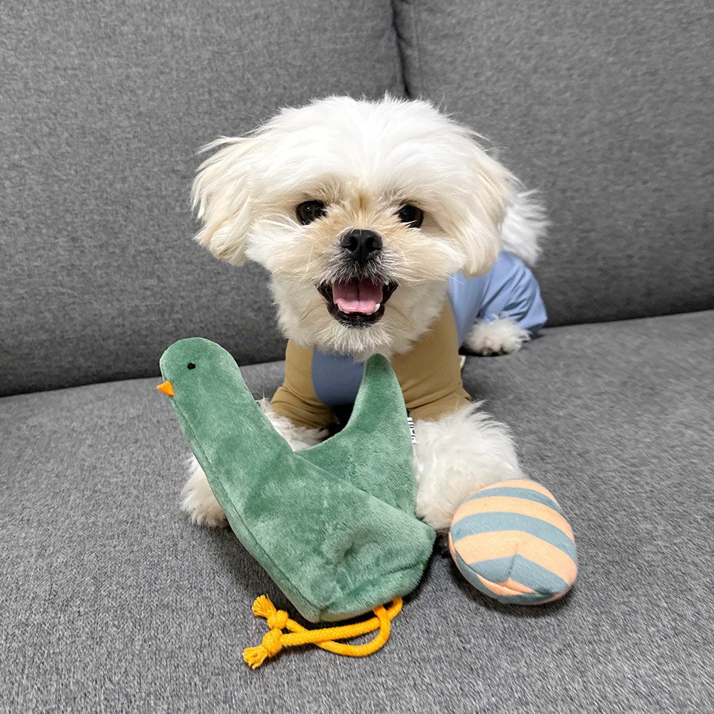 MIX4.2kg(首24/胴38/丈30cm)のとろろくんはグリーンを使用