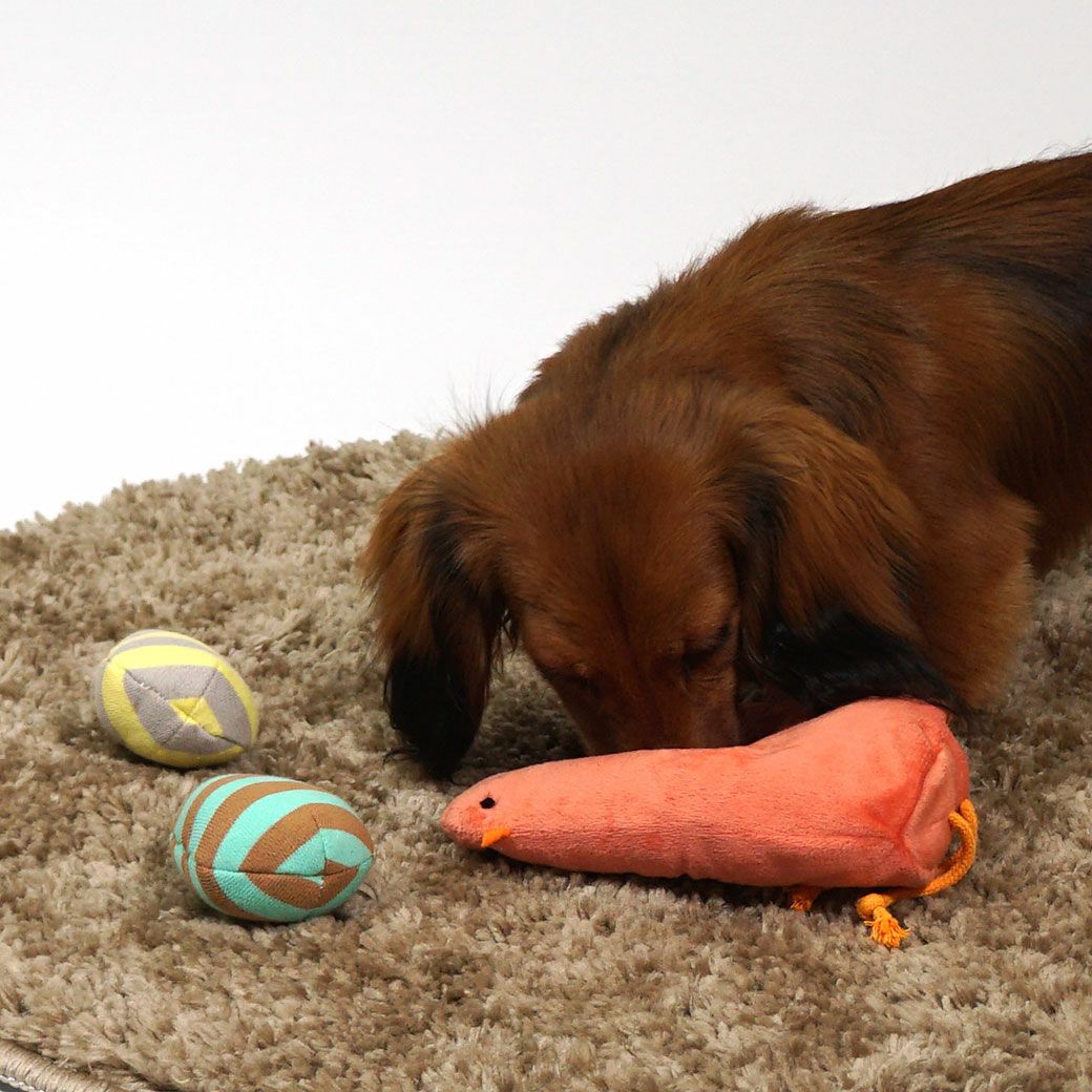 ダックスダンケくんはコーラルを使用