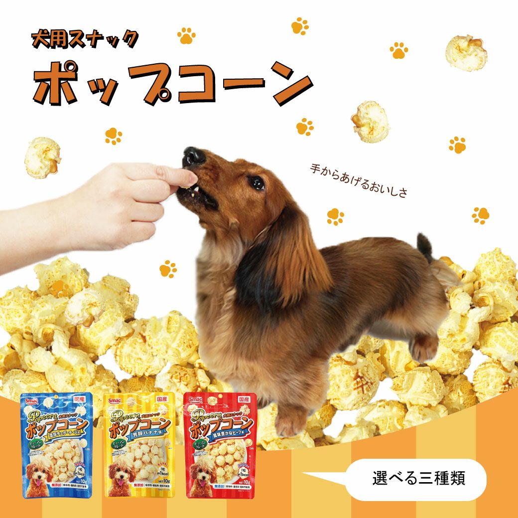 犬が美味しそうに食べている