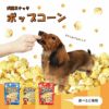 犬が美味しそうに食べている