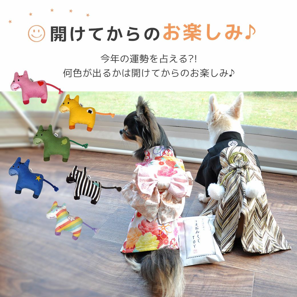 何色が出るかはあけてからのお楽しみ