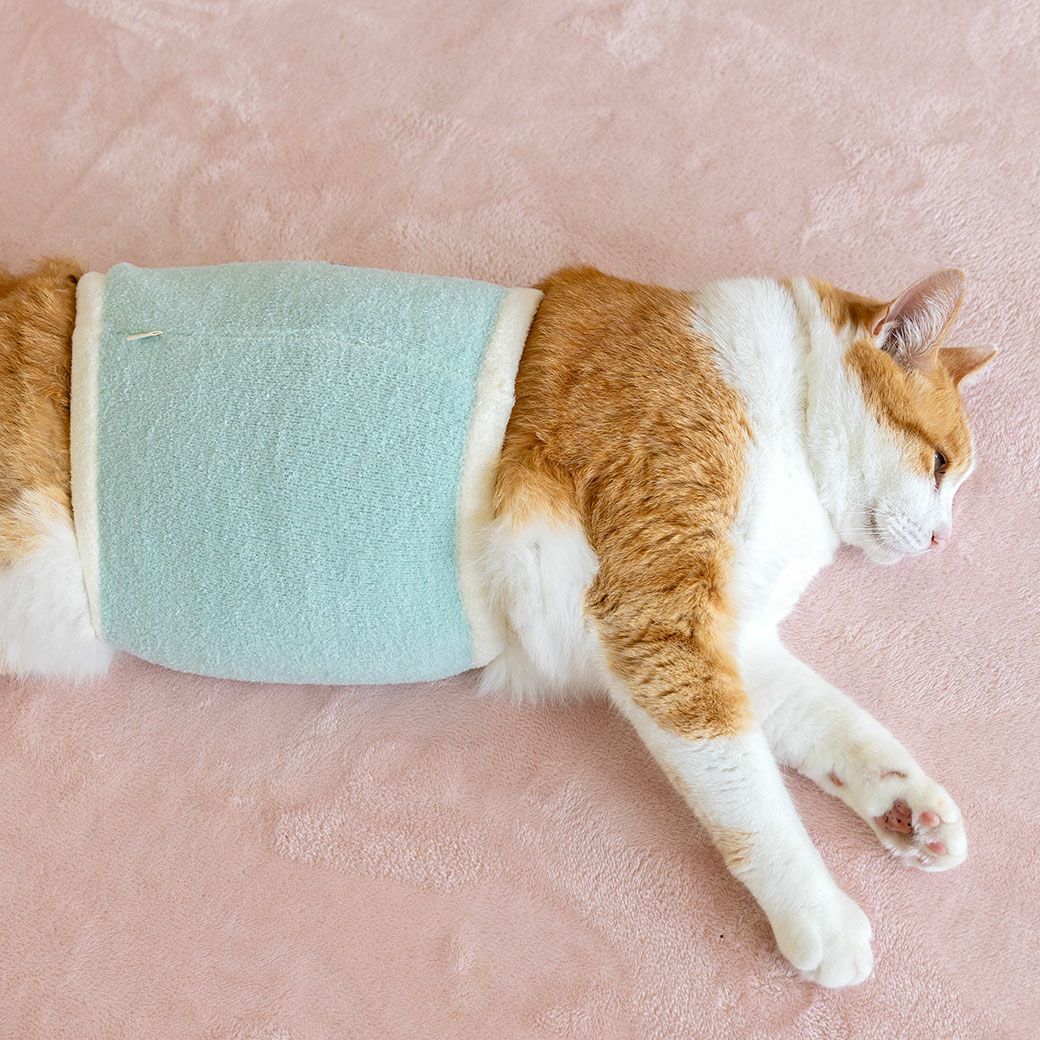 ふわもこ腹巻き