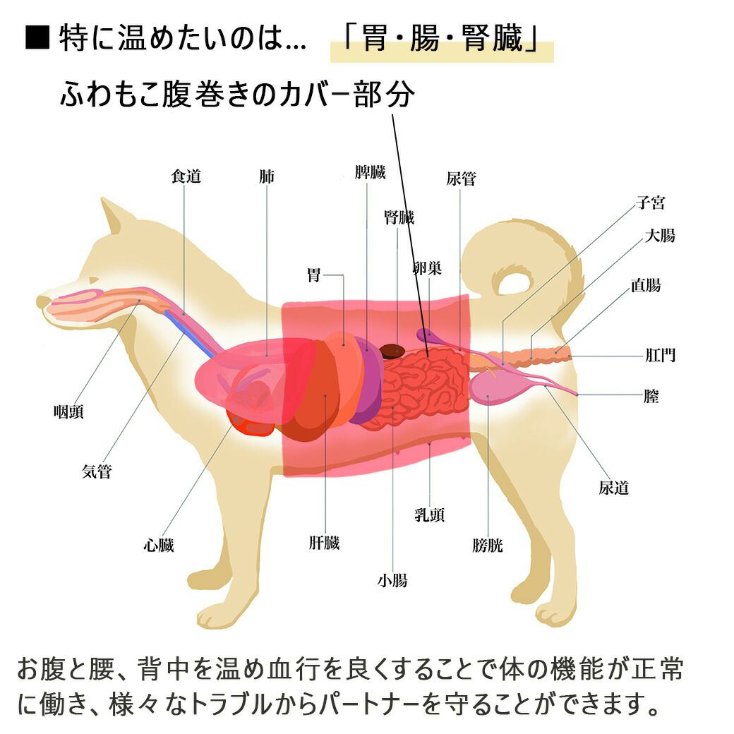 ふわもこ腹巻き