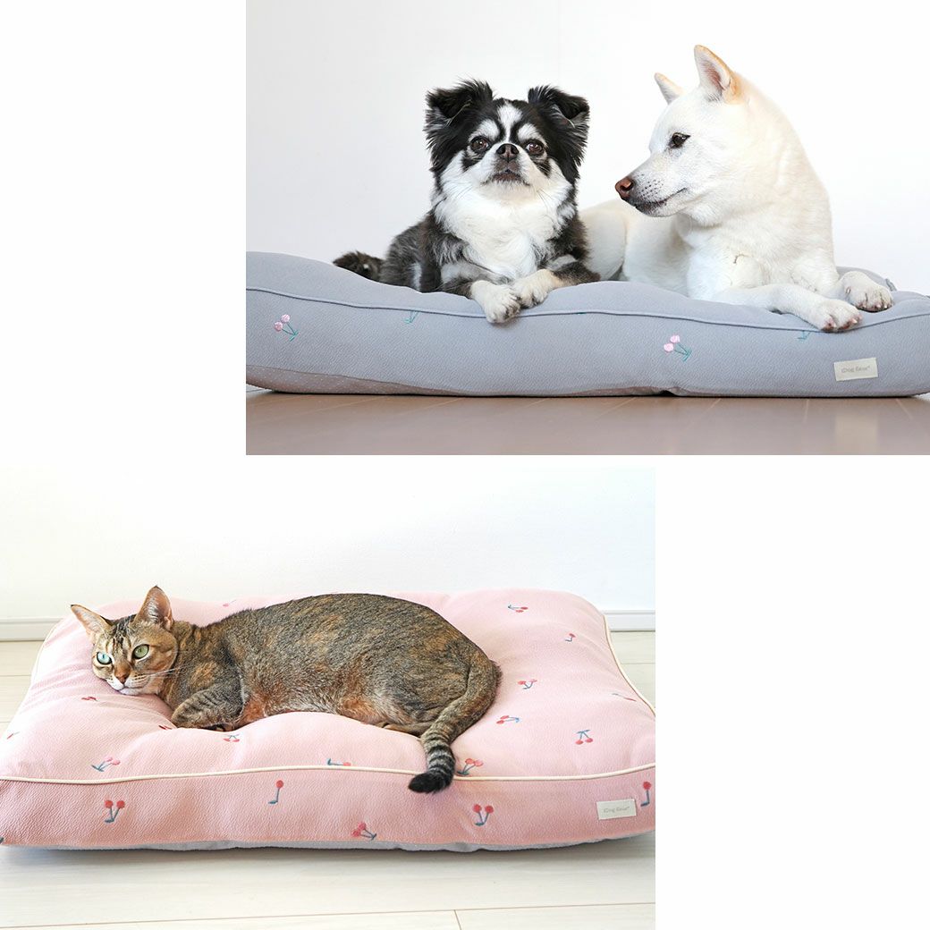 厚さ7cmのふかふか感で愛犬の特等席に