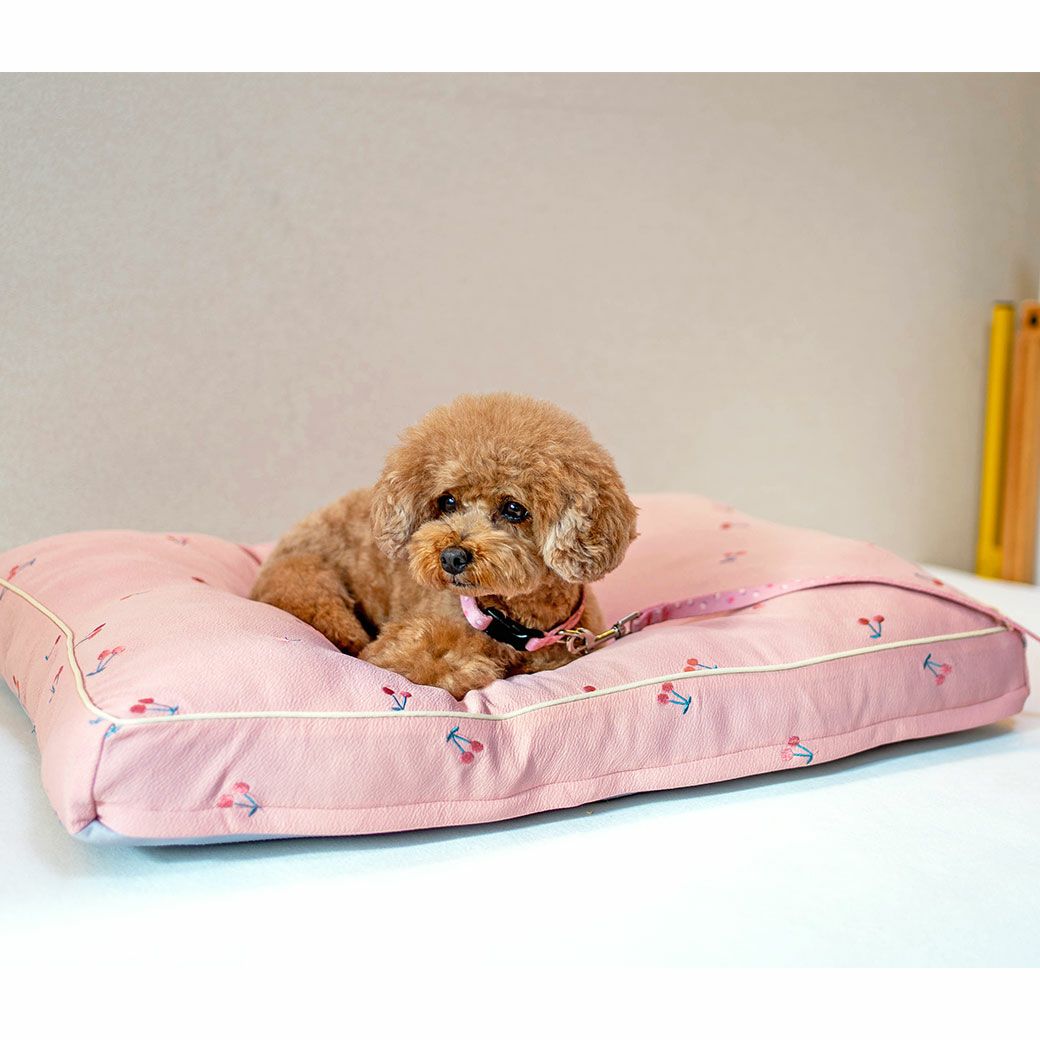 トイプードル4.5kg(首26/胴40.5/丈30cm)の里梨衣ちゃんはピンクを使用