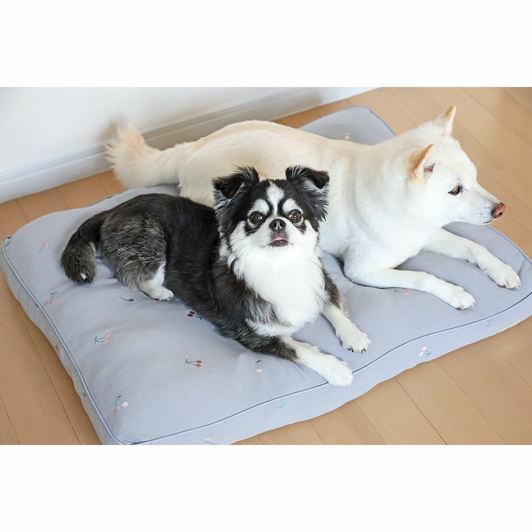 チワワ4kg(首22/胴33/丈28cm)のティノくんと豆柴6.0kg(首31/胴45/丈33cm)のラテちゃんはグレーを使用
