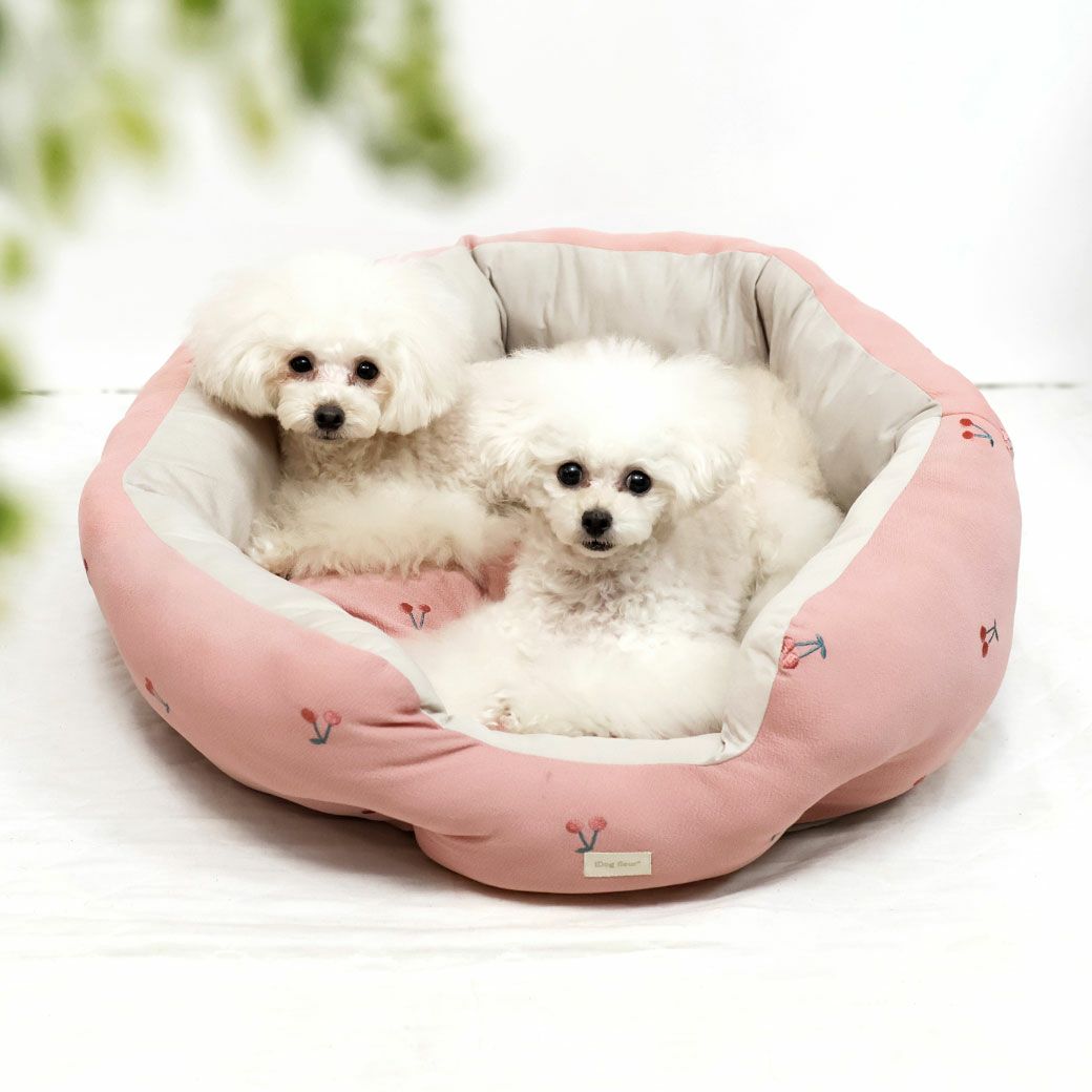 トイプー1.2kg(首15/胴26/丈19cm)のマユリちゃんとトイプー1.9kg(首17/胴29/丈22cm)のメリナちゃんはピンクを使用