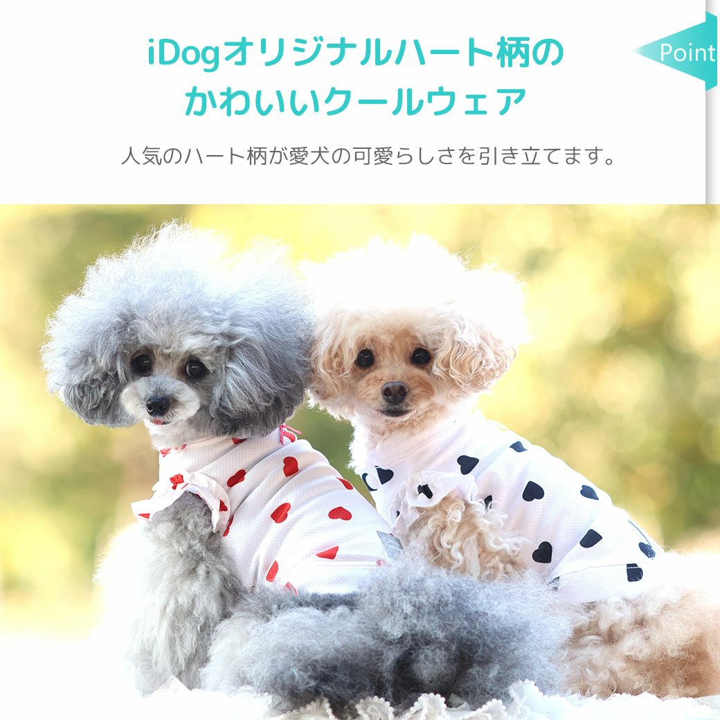 iDogオリジナルのハート柄のかわいいクールウェア！