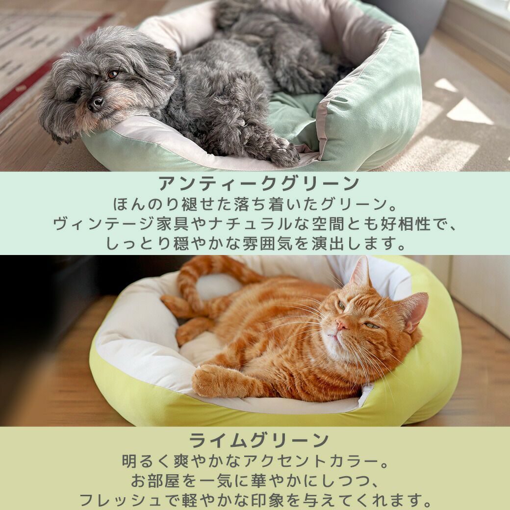 色で選ぶ、愛犬のくつろぎスペース