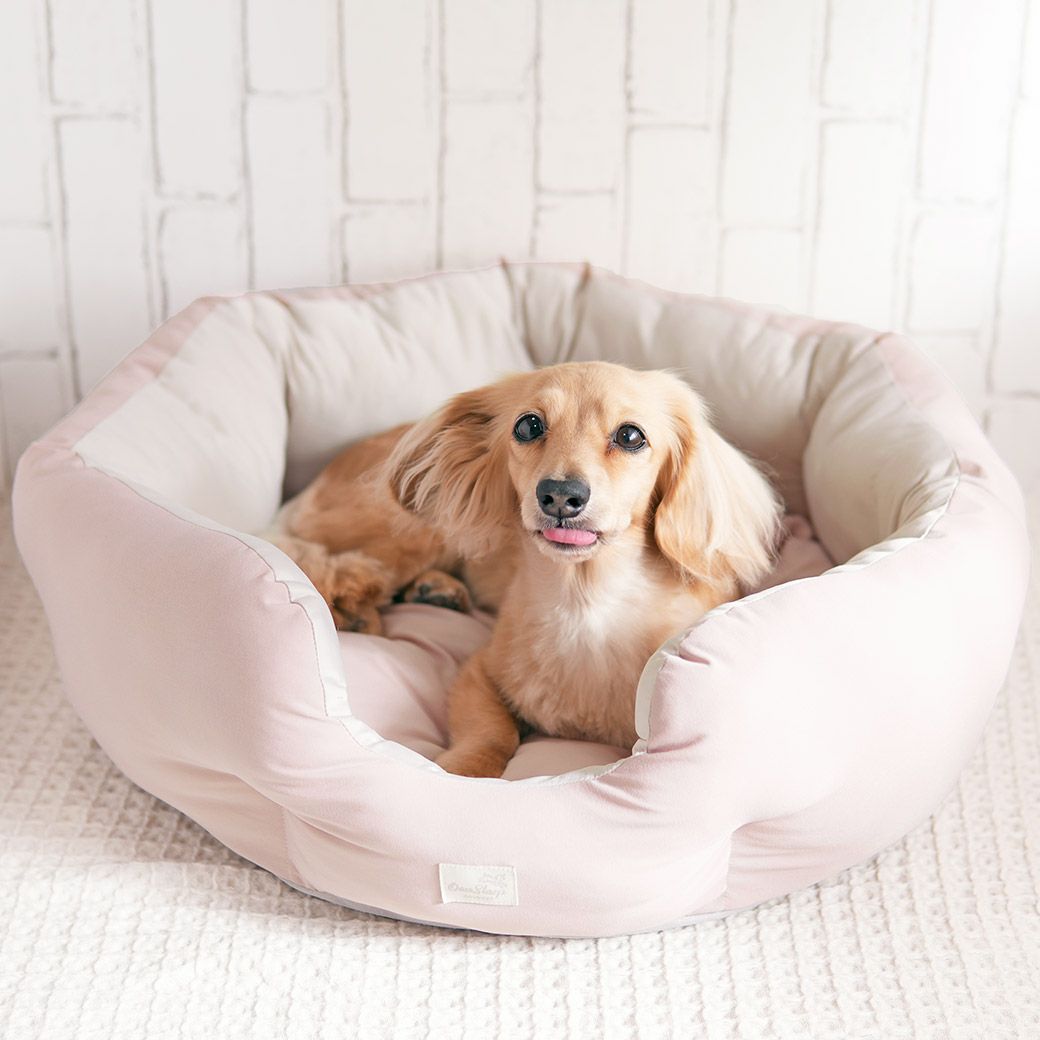 ミニチュアダックス3.9kg(首25/胴37/丈31cm)のクムちゃんはピンクアーモンドを使用