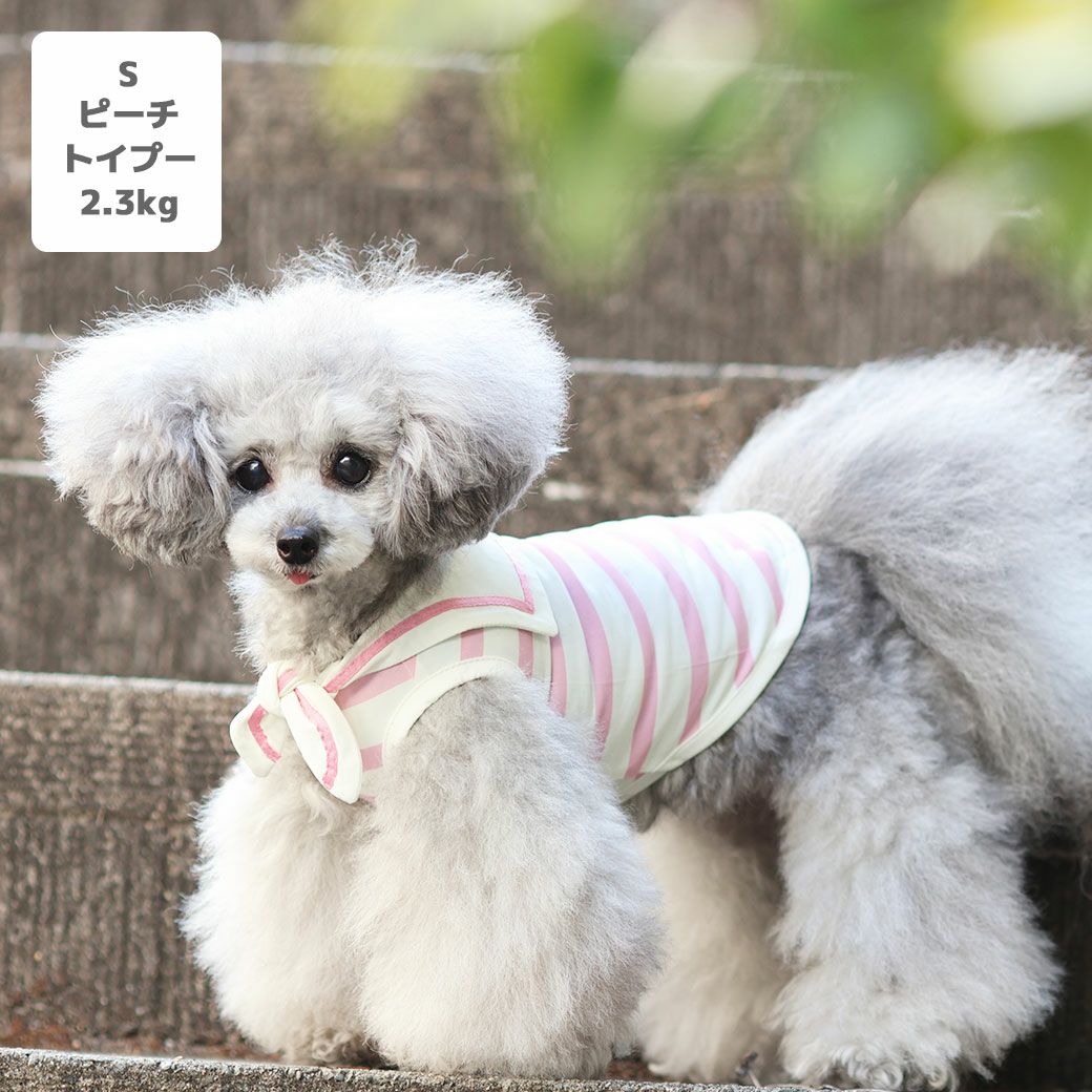 トイプー1.9kg(首17/胴29/丈22cm)のメリナちゃんはピーチのSを着用