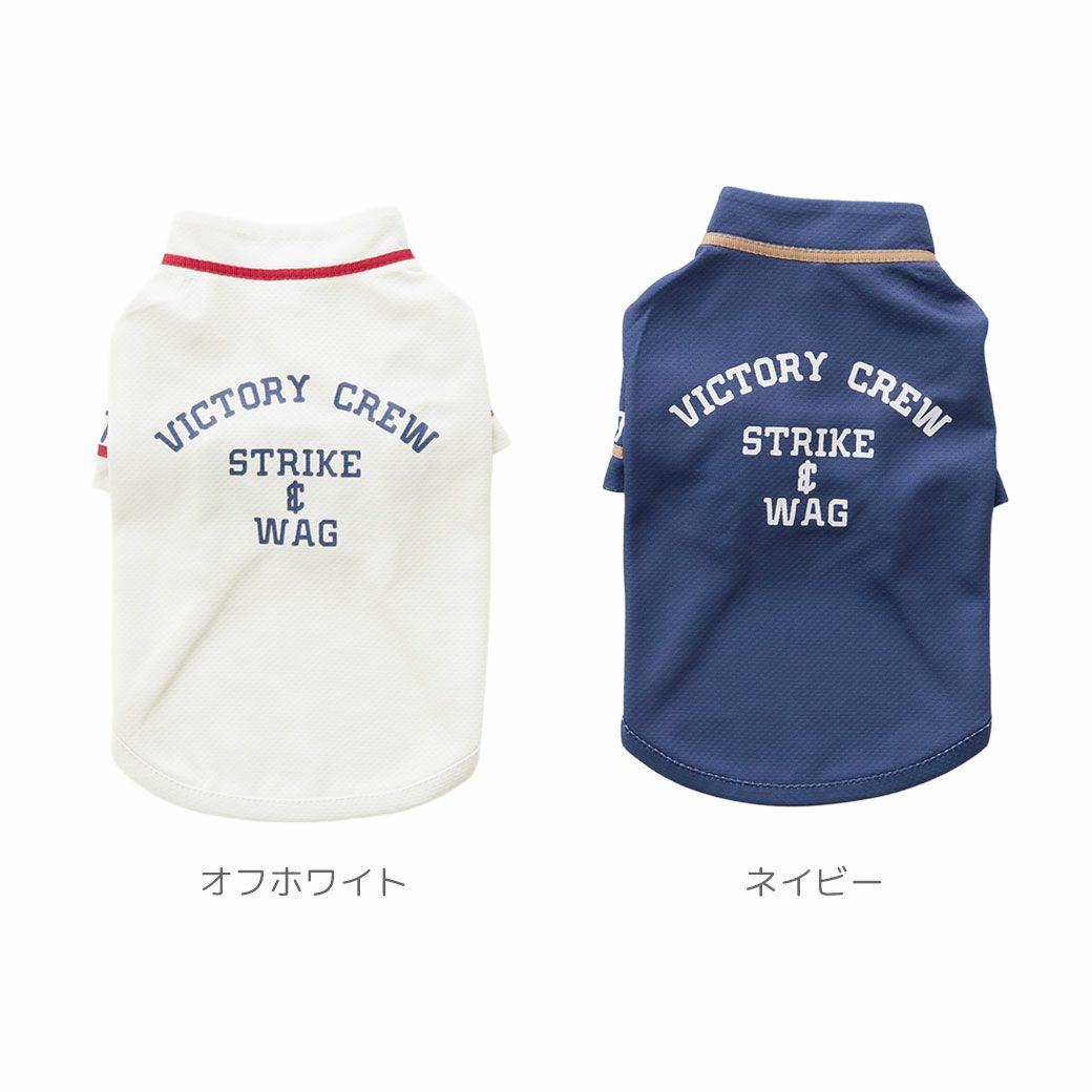 全2カラー