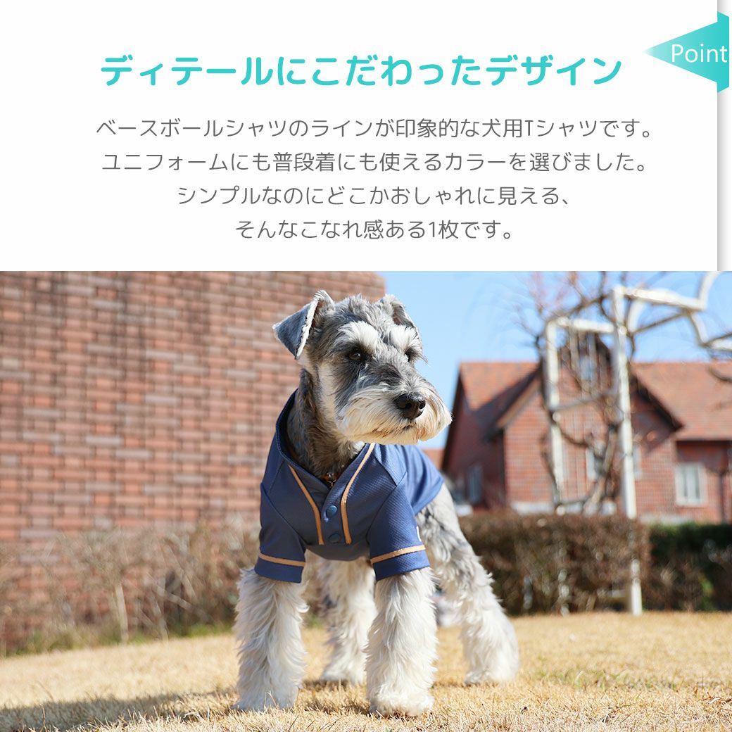 ディテールにこだわったデザイン