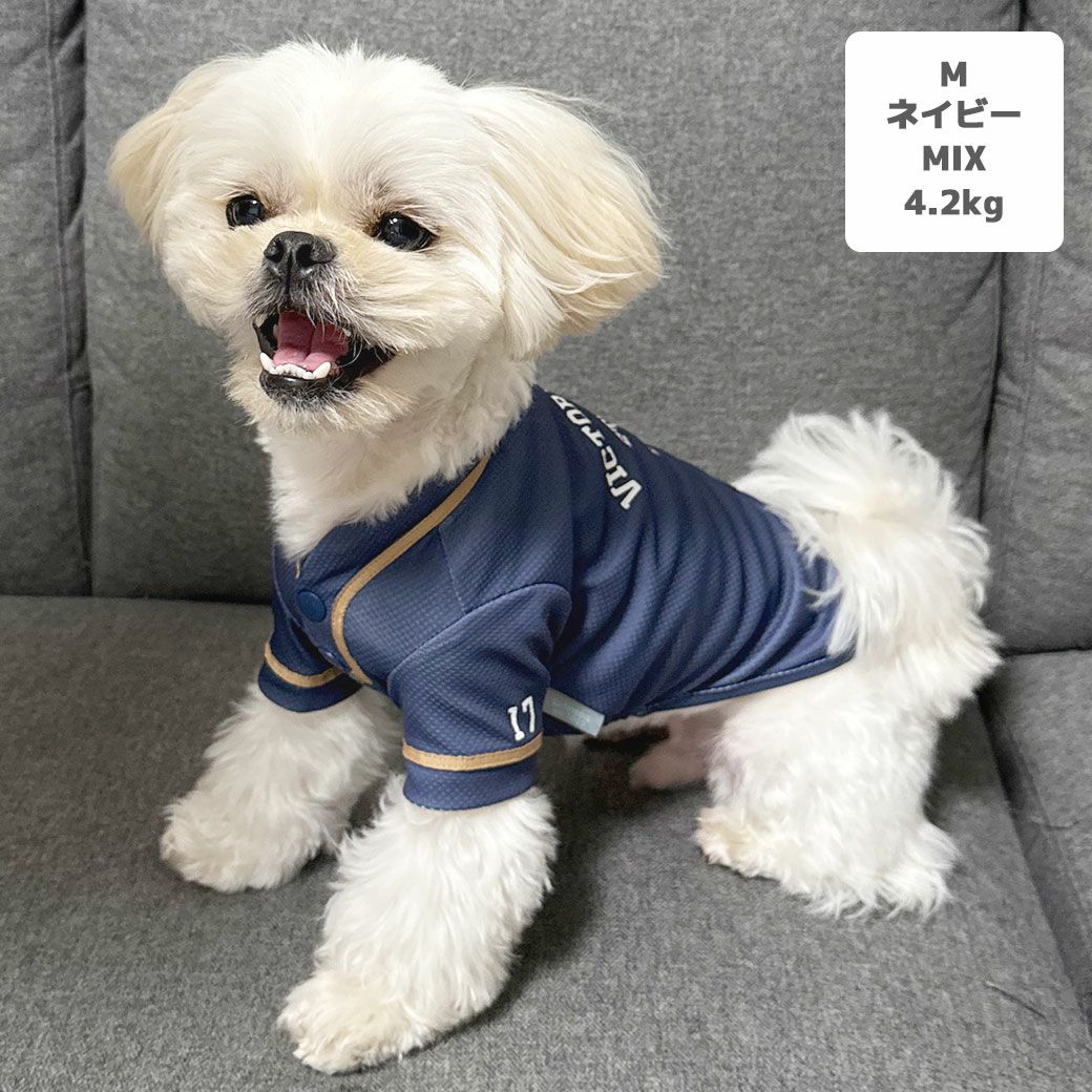 MIX4.2kg(首24/胴38/丈30cm)のとろろくんはネイビーのMを着用