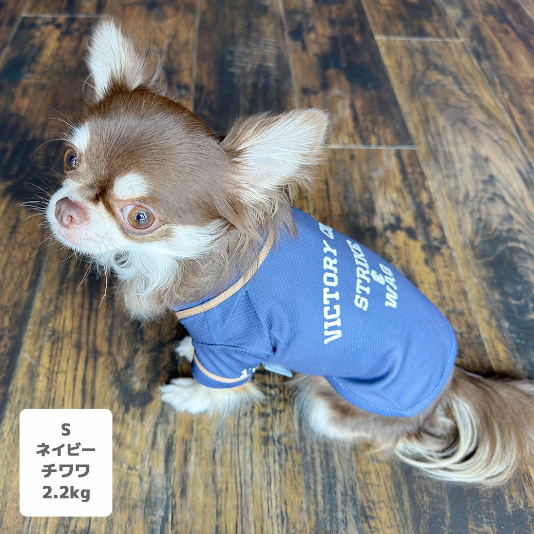 iDog COOL ME+MOSCAPE ベースボールシャツ 冷感 ひんやり 防蚊 アイ