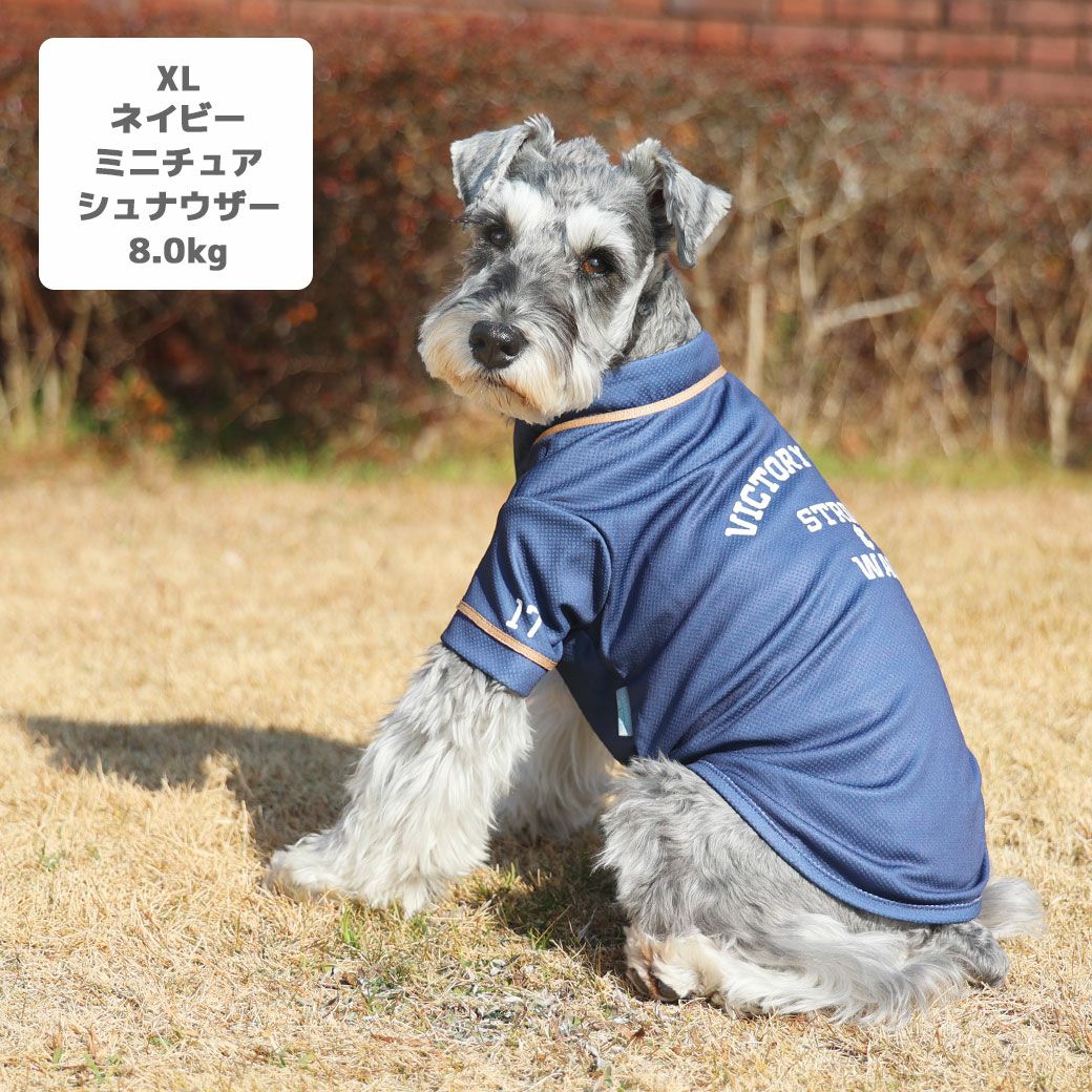 ミニチュアシュナウザー8.0kg(首30/胴48/丈37cm)のマハロくんはネイビーのXLを着用