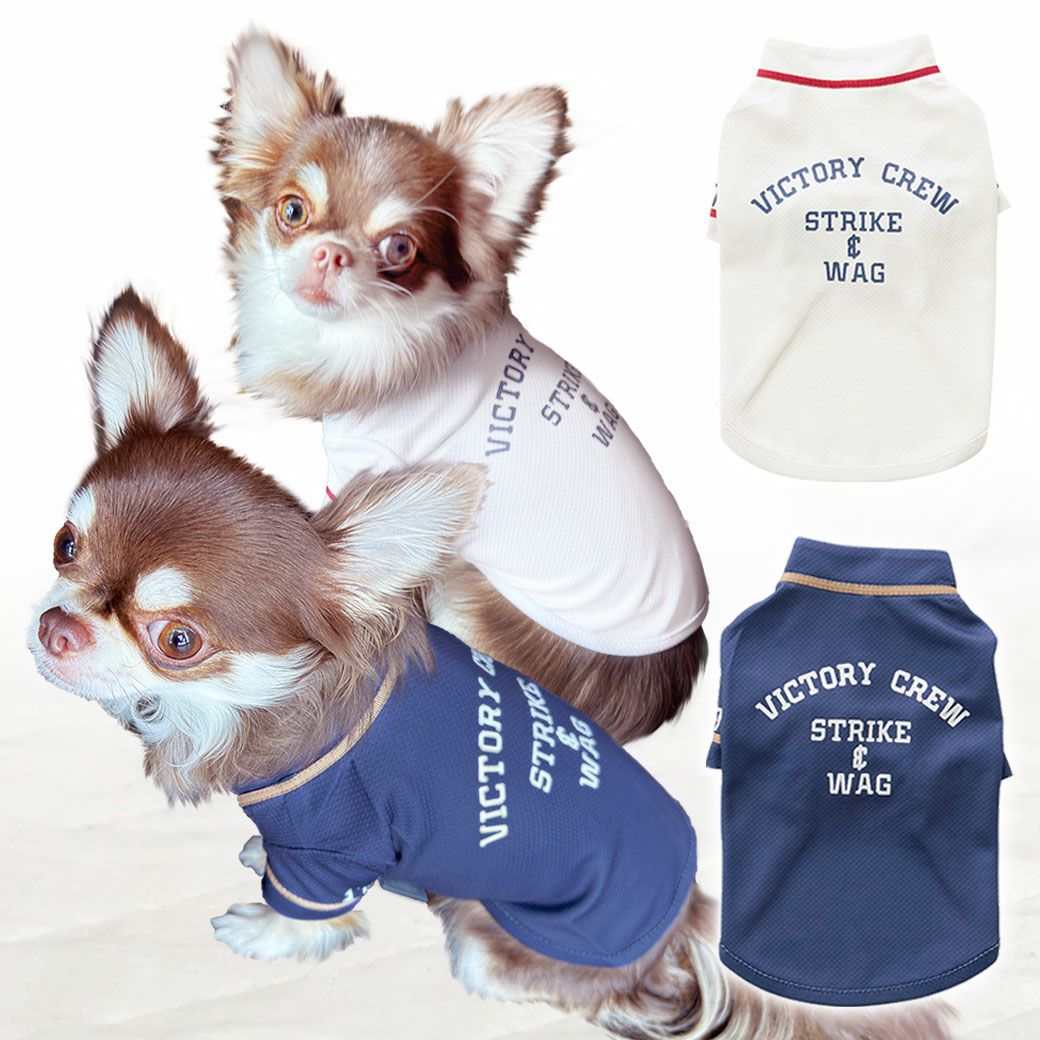 iDog COOL ME+MOSCAPE ベースボールシャツ 冷感 ひんやり 防蚊 アイ