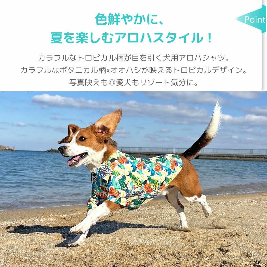 色鮮やかに、夏を楽しむアロハスタイル！