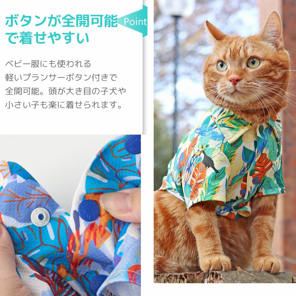 着せやすいストレスフリーなドッグウェア